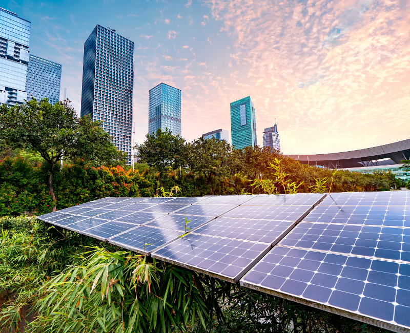 Renewable Power Plants